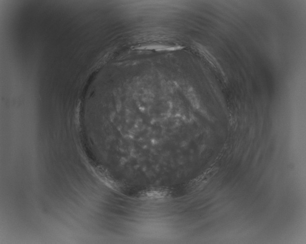 X0000073420163200608181130