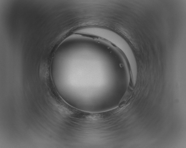 X0000073420164200608181130