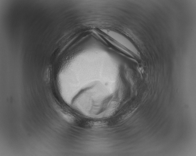 X0000073420165200608181130