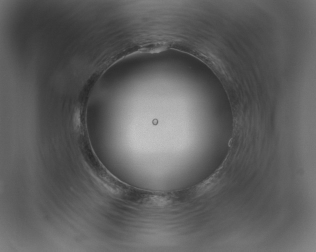 X0000073420166200608181130