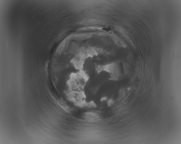 X0000073420167200608181130