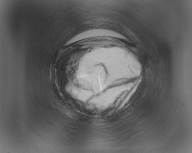 X0000073420169200608181130