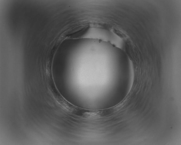 X0000073420170200608181130