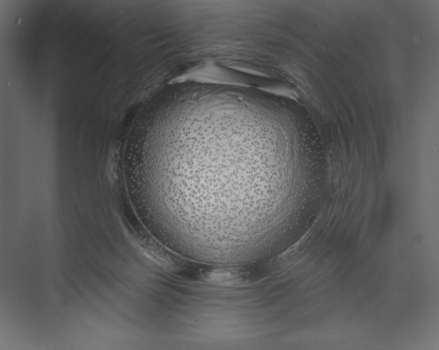 X0000073420171200608181130