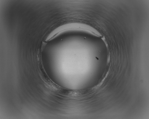 X0000073420174200608181130