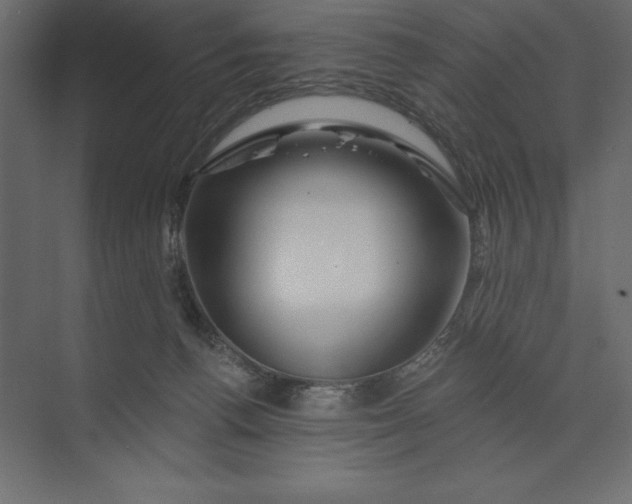 X0000073420176200608181130