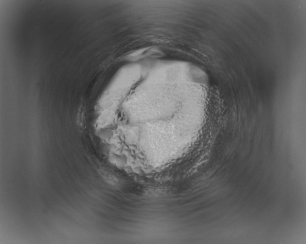 X0000073420177200608181130