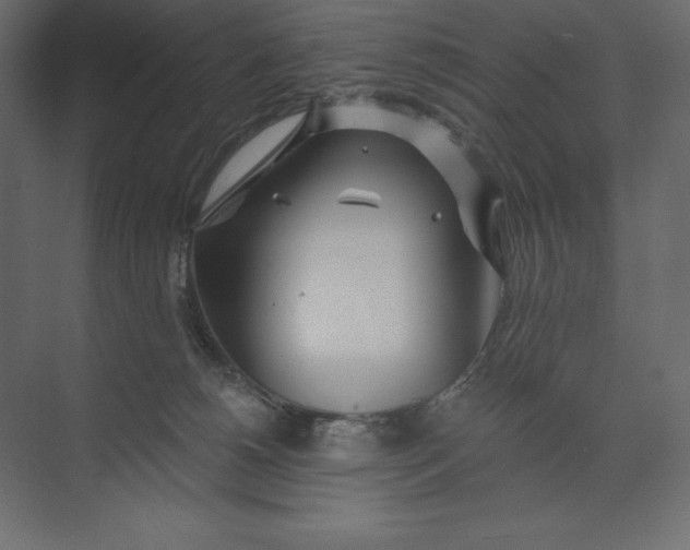 X0000073420180200608181130