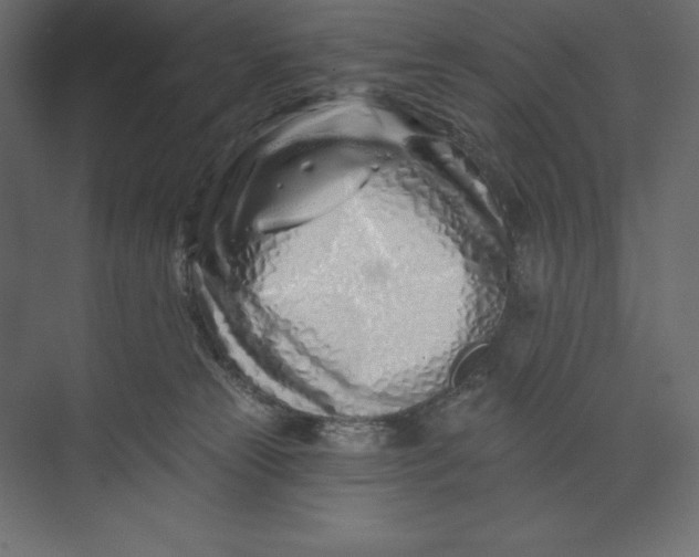 X0000073420181200608181130