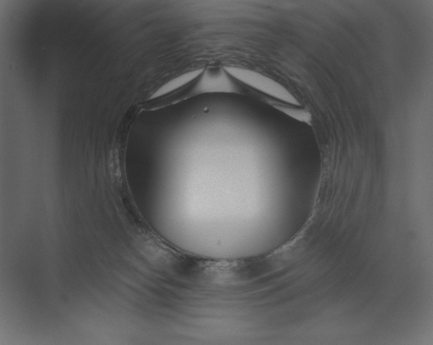 X0000073420182200608181130