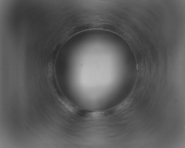 X0000073420184200608181130