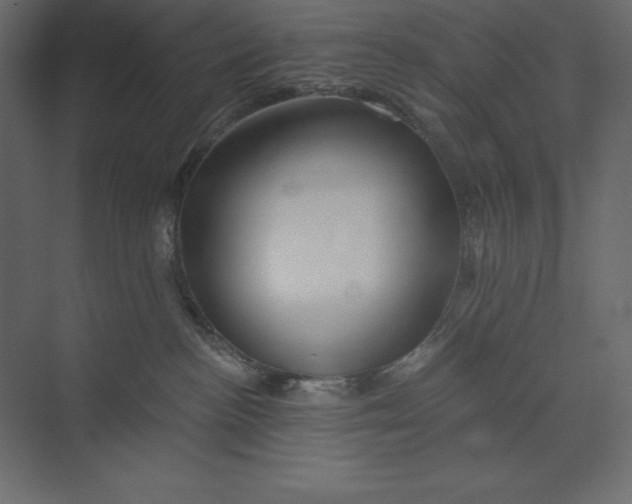 X0000073420188200608181130