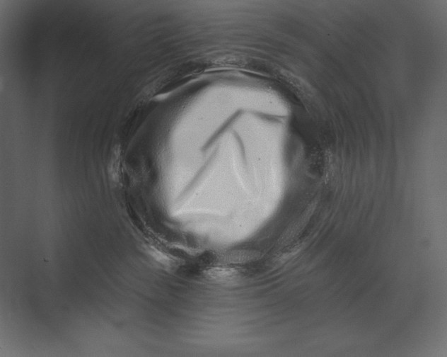 X0000073420189200608181131