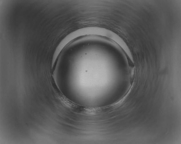 X0000073420190200608181131