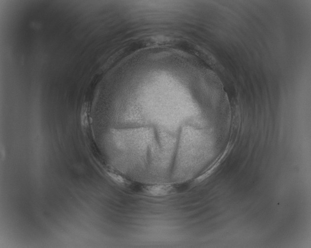 X0000073420191200608181131