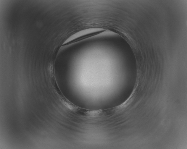 X0000073420192200608181131