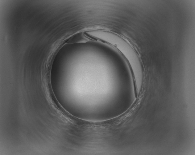 X0000073420193200608181130