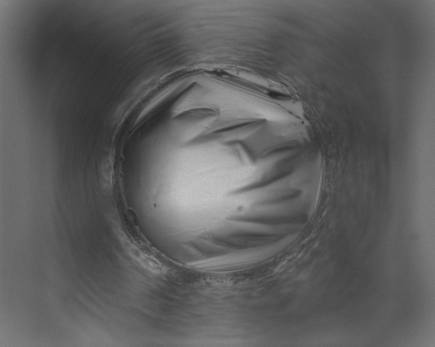 X0000073420194200608181130