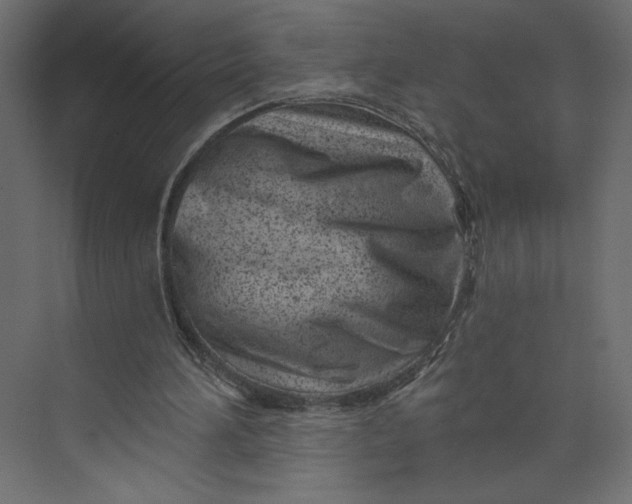 X0000073420196200608181130