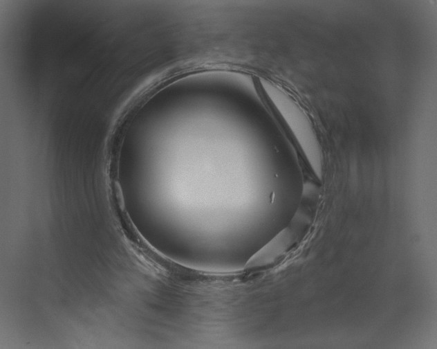 X0000073420197200608181130