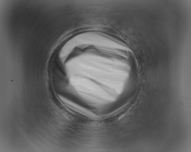 X0000073420198200608181130