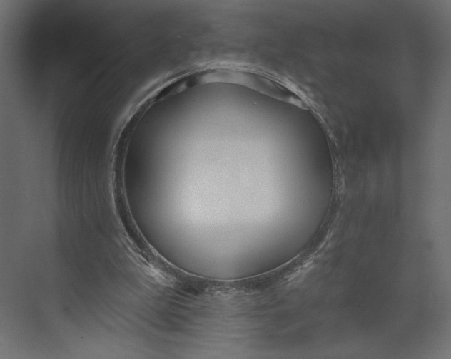 X0000073420199200608181130