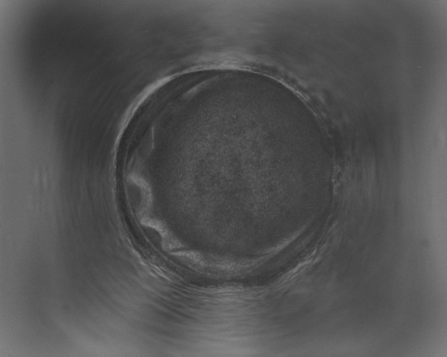 X0000073420200200608181130