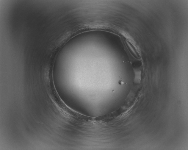 X0000073420201200608181130