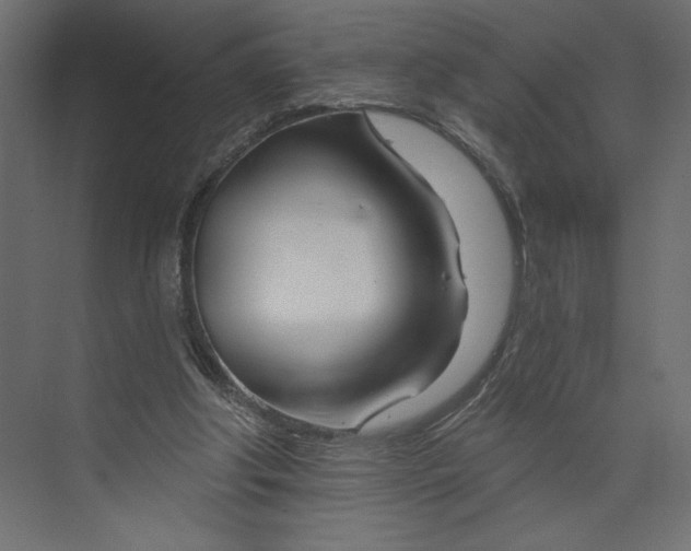 X0000073420202200608181130