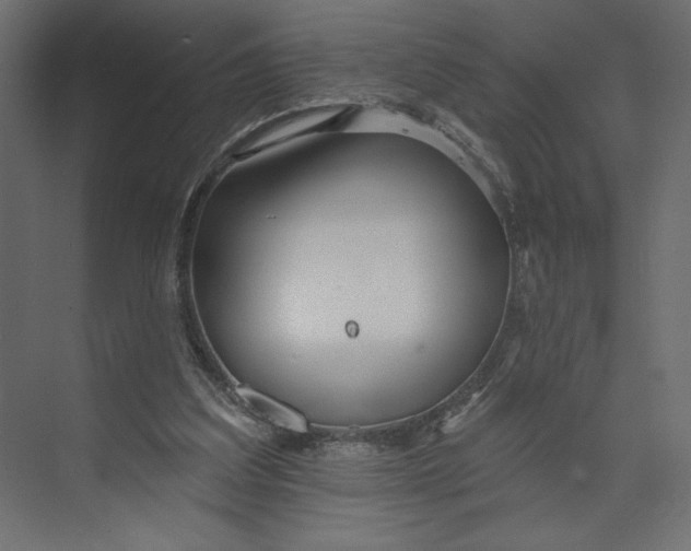 X0000073420203200608181130