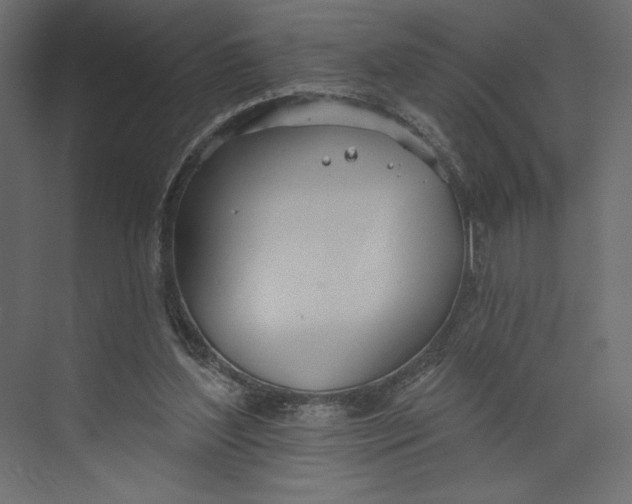 X0000073420204200608181130