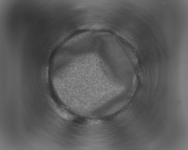 X0000073420206200608181130