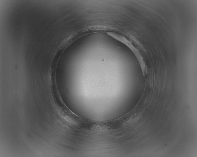 X0000073420207200608181130