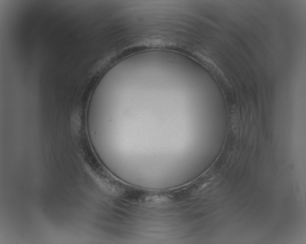 X0000073420208200608181130