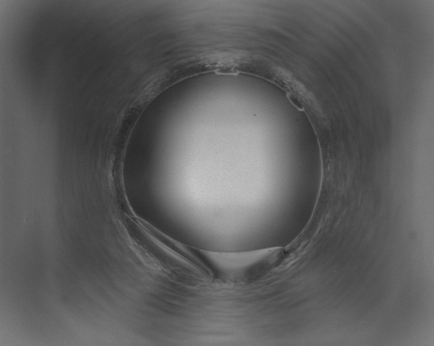 X0000073420209200608181129