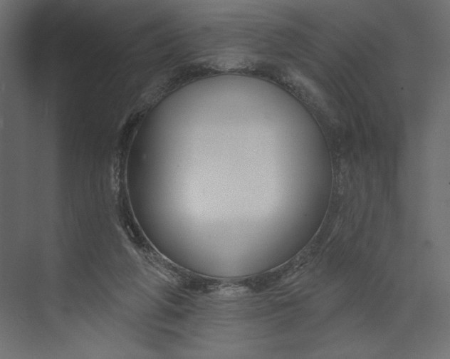 X0000073420210200608181129