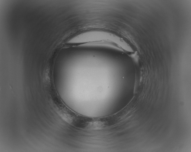 X0000073420212200608181129