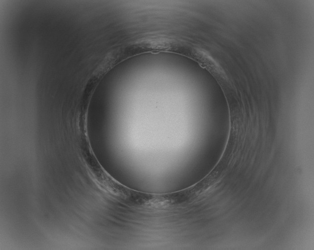 X0000073420213200608181129