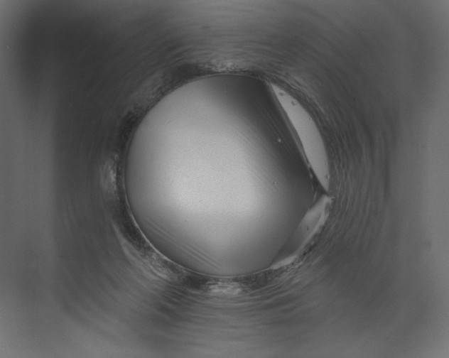 X0000073420214200608181129