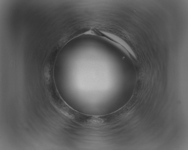 X0000073420215200608181129