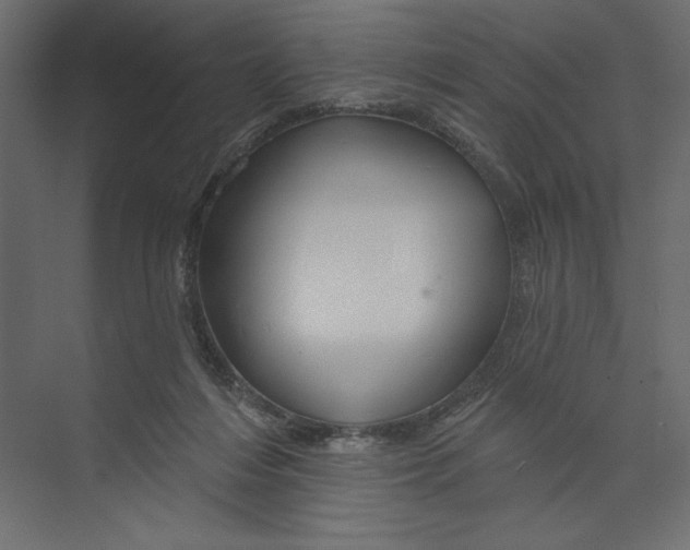 X0000073420216200608181129