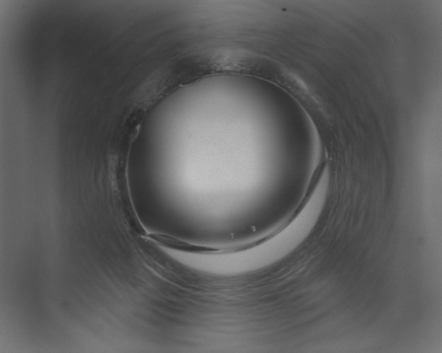 X0000073420217200608181129