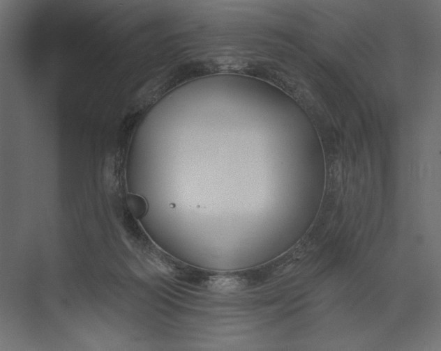 X0000073420218200608181129