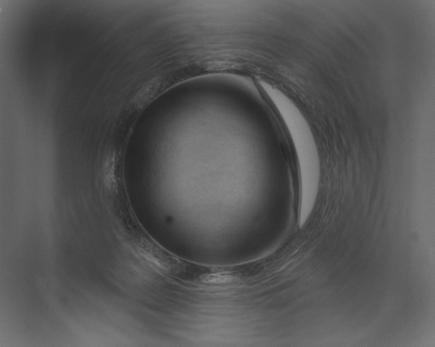 X0000073420219200608181129