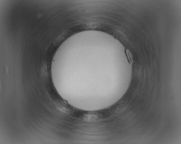 X0000073420220200608181129