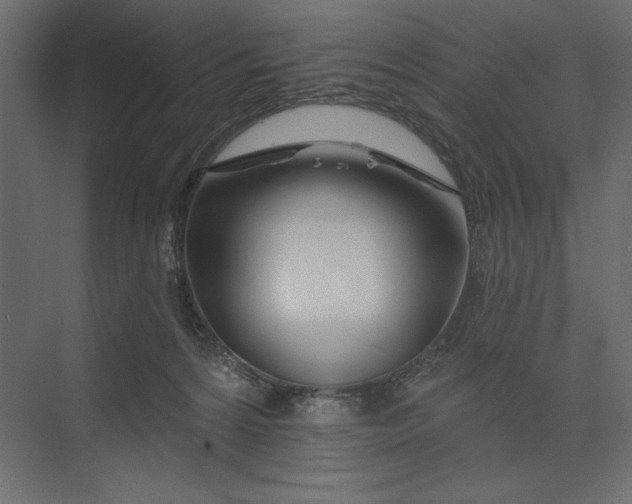 X0000073420224200608181129