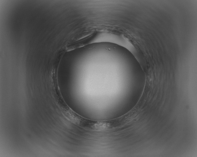 X0000073420225200608181129