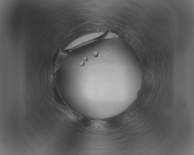 X0000073420226200608181129