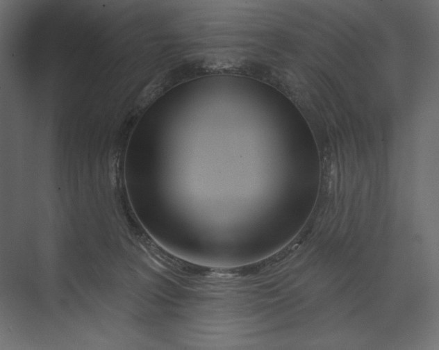 X0000073420227200608181129