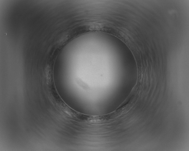 X0000073420228200608181129